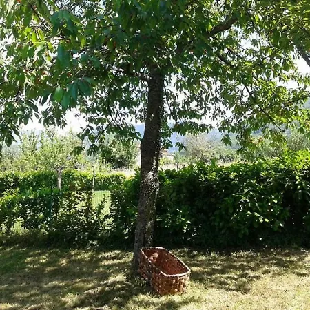 Tuscany Dom wakacyjny *