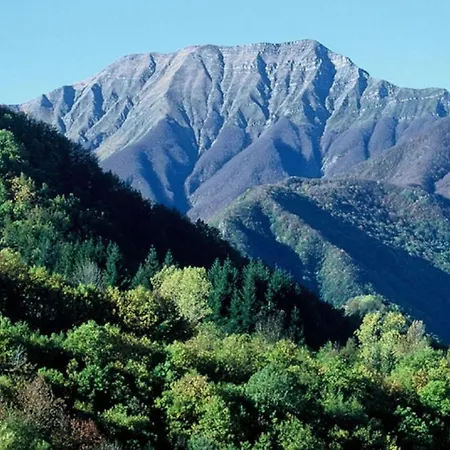 Дом отдыха Tuscany